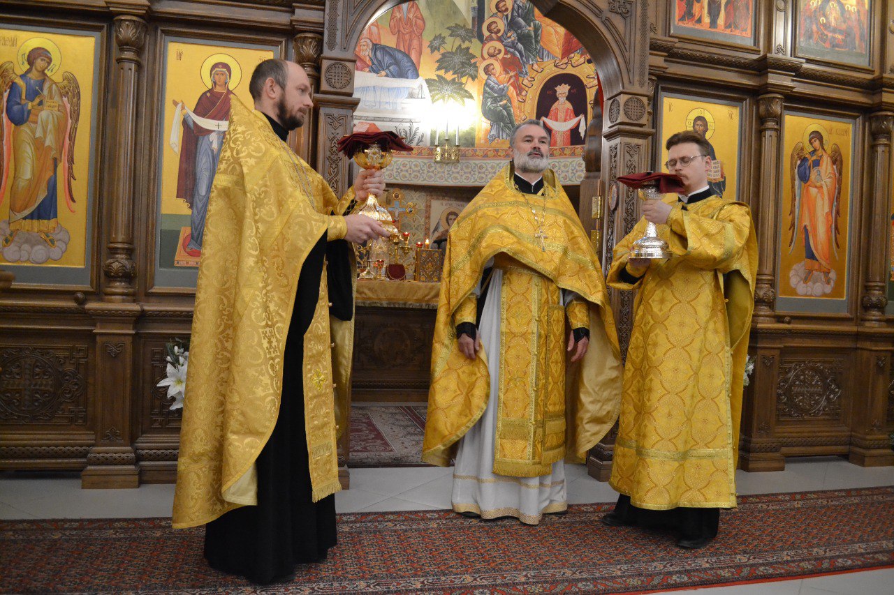 Неделя 22 по Пятидесятнице. Прп. Нестора Солунского. 09.11.2025